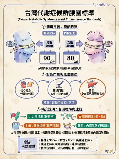 營養 - 體位評估 - AI 圖文解析預覽