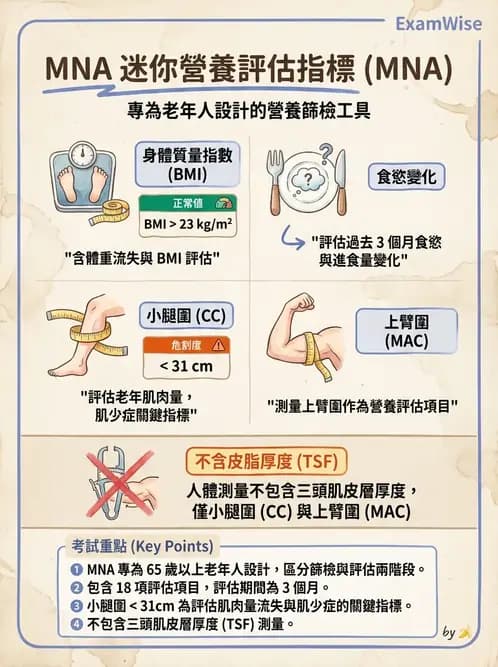 營養 - 營養篩檢與評估量表 - AI 圖文解析預覽