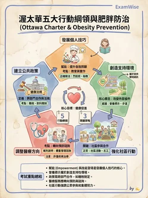 營養 - 公共衛生概論與預防醫學 - AI 圖文解析預覽