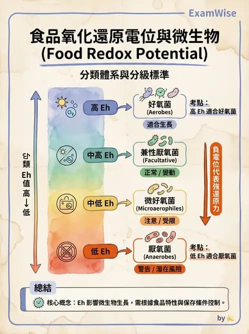 營養 - 食品腐敗微生物學 - AI 圖文解析預覽