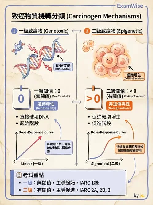 營養 - 食品安全性評估 - AI 圖文解析預覽