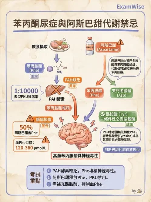 營養 - 食品添加物 - AI 圖文解析預覽