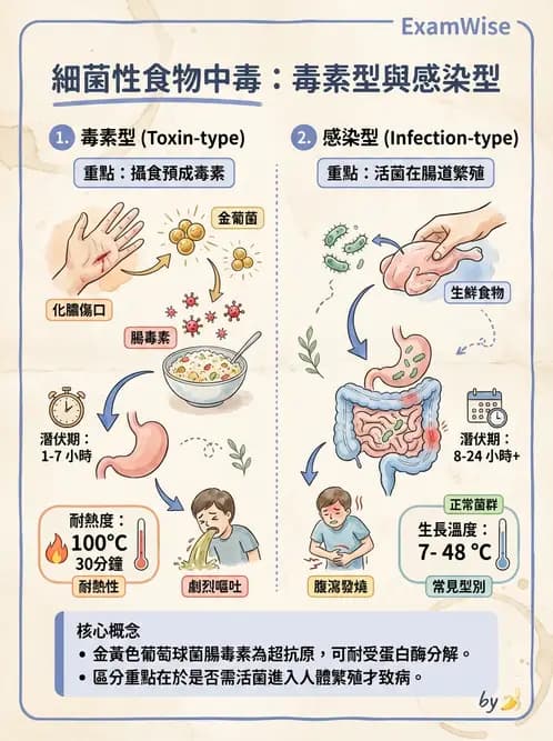 營養 - 食源性病原微生物 - AI 圖文解析預覽