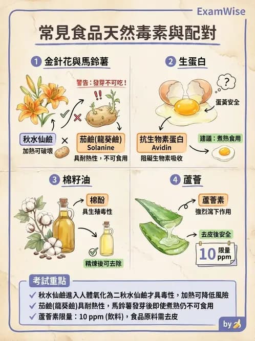 營養 - 天然毒素 - AI 圖文解析預覽