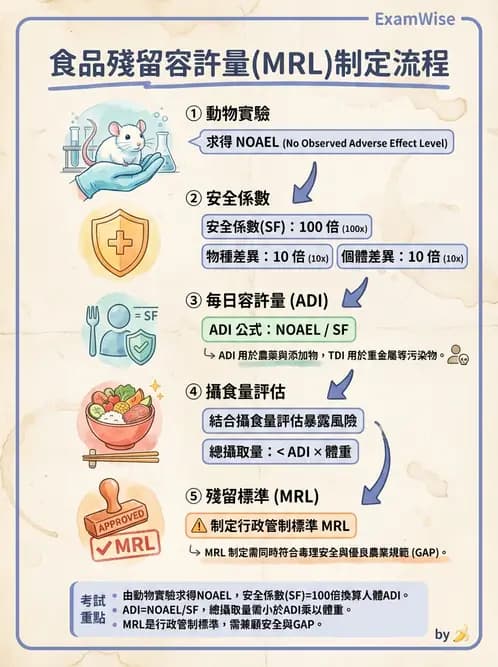 營養 - 食品安全性評估 - AI 圖文解析預覽