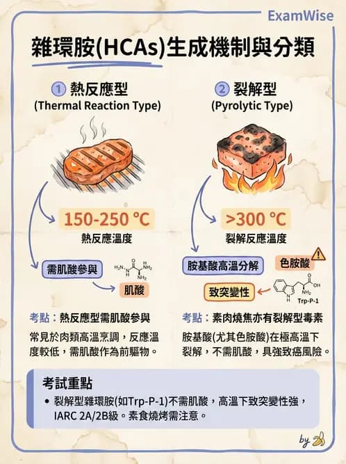 營養 - 化學性危害 - AI 圖文解析預覽