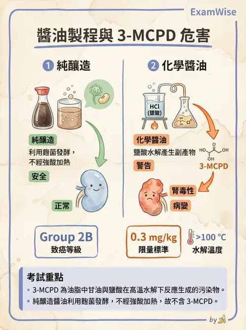 營養 - 化學性危害 - AI 圖文解析預覽