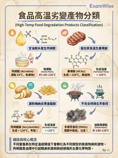 營養 - 化學性危害 - AI 圖文解析預覽