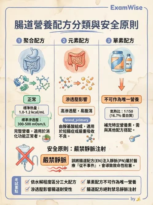 營養 - 營養支持 - AI 圖文解析預覽