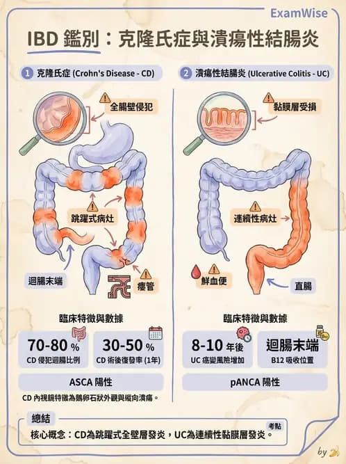營養 - 腸胃道疾病 - AI 圖文解析預覽
