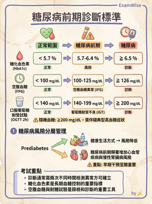 營養 - 糖尿病與代謝症候群 - AI 圖文解析預覽
