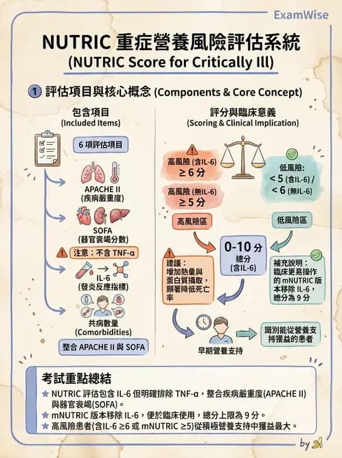 營養 - 重症一般營養照護 - AI 圖文解析預覽