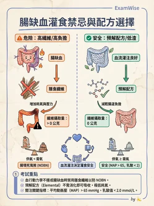營養 - 重症一般營養照護 - AI 圖文解析預覽