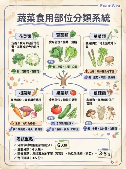 營養 - 動植物性食材製備原理 - AI 圖文解析預覽