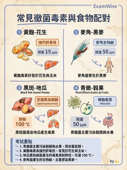 營養 - 食品安全衛生管理 - AI 圖文解析預覽