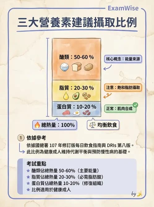 營養 - 蛋白質結構、功能與需求量 - AI 圖文解析預覽