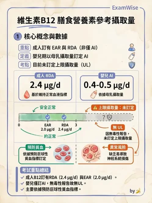 營養 - DRIs與飲食指南 - AI 圖文解析預覽