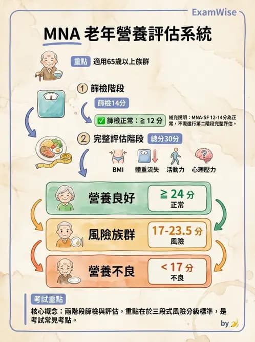 營養 - 營養篩檢與評估量表 - AI 圖文解析預覽