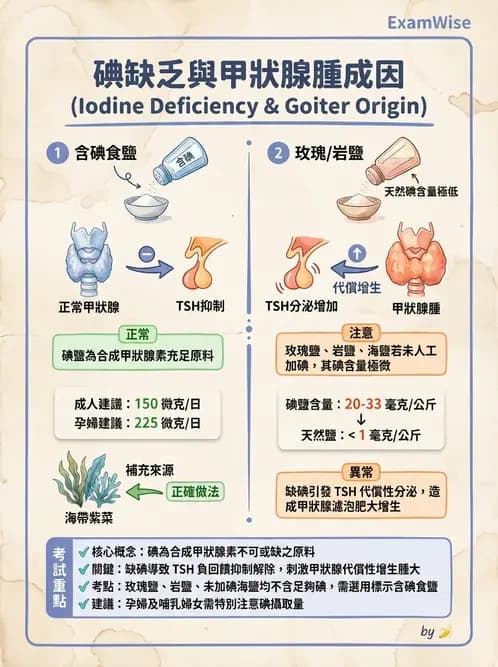 營養 - 生化指標與營養缺乏 - AI 圖文解析預覽