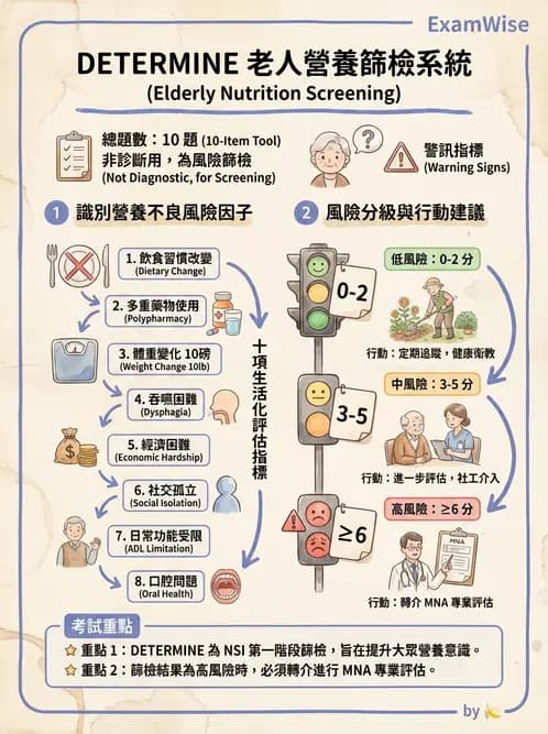 營養 - 營養篩檢與評估量表 - AI 圖文解析預覽
