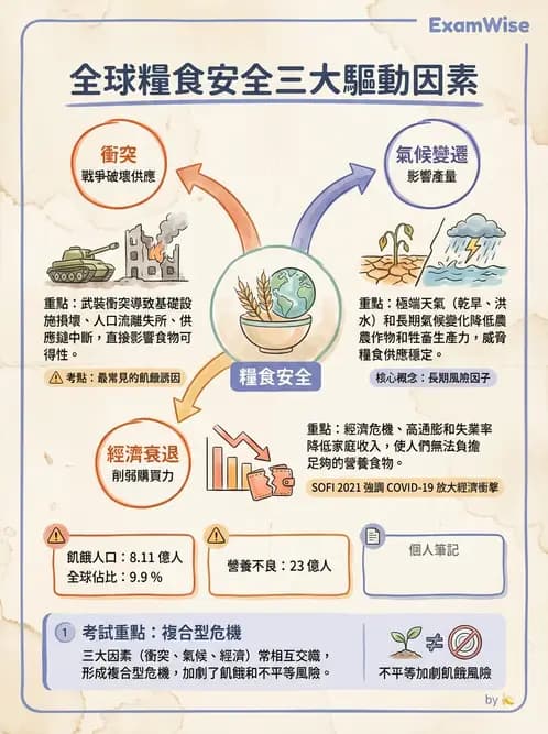 營養 - 國際營養議題與糧食安全 - AI 圖文解析預覽