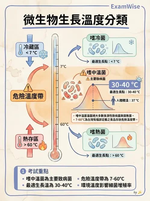 營養 - 食品腐敗微生物學 - AI 圖文解析預覽