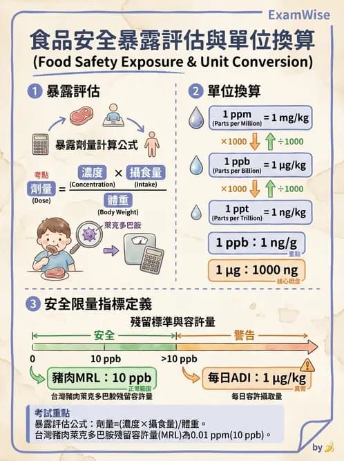 營養 - 食品安全性評估 - AI 圖文解析預覽