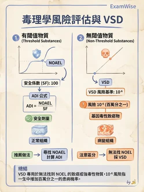 營養 - 食品安全性評估 - AI 圖文解析預覽