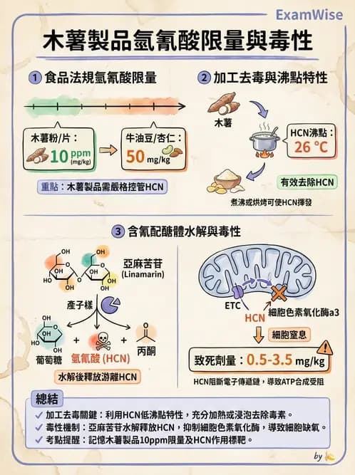 營養 - 天然毒素 - AI 圖文解析預覽