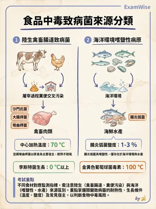 營養 - 食源性病原微生物 - AI 圖文解析預覽