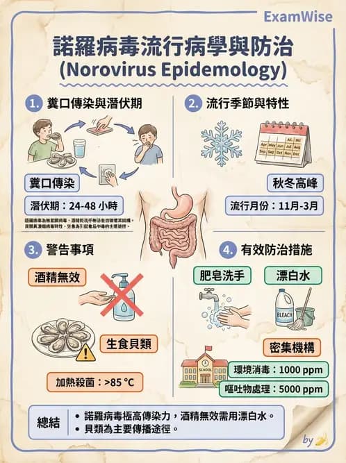 營養 - 食源性病原微生物 - AI 圖文解析預覽