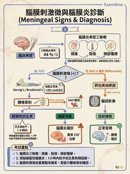 專師 - 中樞神經感染 - AI 圖文解析預覽
