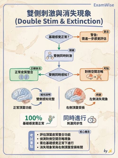 專師 - 腦神經檢查與神經學評估 - AI 圖文解析預覽