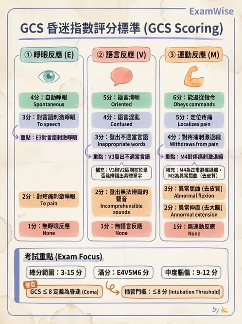 專師 - 腦神經檢查與神經學評估 - AI 圖文解析預覽