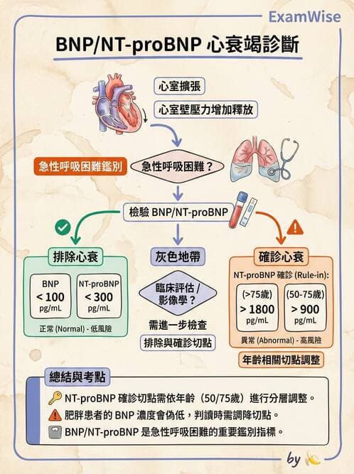 專師 - 心衰竭 - AI 圖文解析預覽