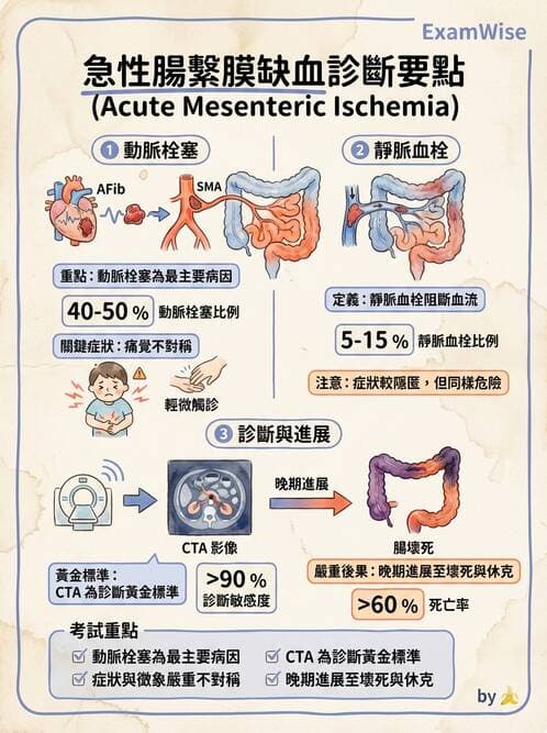 專師 - 腹部評估與急腹症 - AI 圖文解析預覽