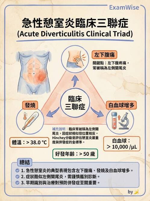 專師 - 腸道疾病與肛門直腸 - AI 圖文解析預覽