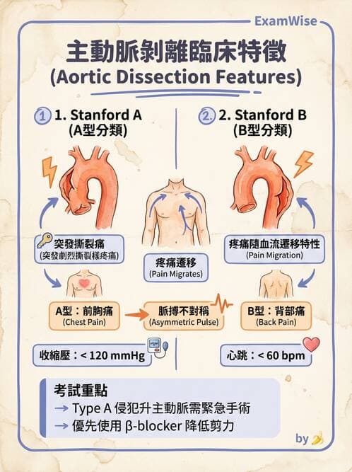 專師 - 主動脈疾病 - AI 圖文解析預覽