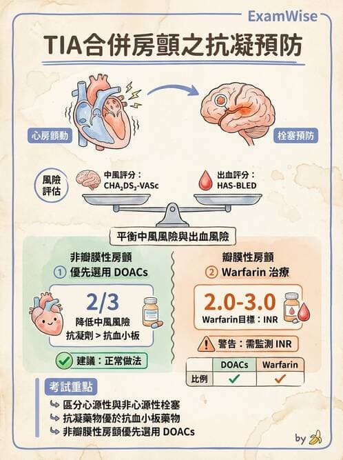 專師 - 腦血管疾病 - AI 圖文解析預覽