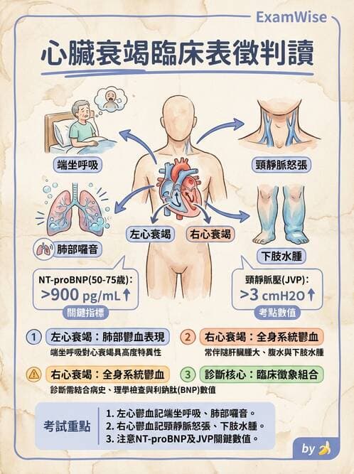 專師 - 心衰竭 - AI 圖文解析預覽