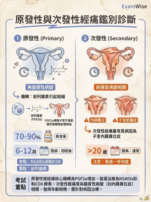 專師 - 陰囊與泌尿急症 - AI 圖文解析預覽
