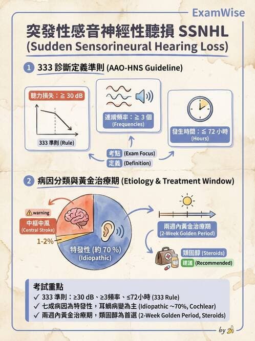 專師 - 眼耳鼻喉外科 - AI 圖文解析預覽