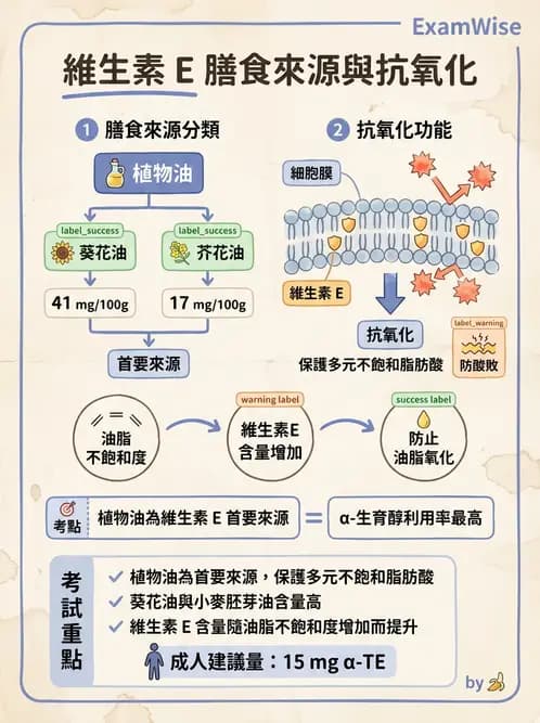 營養 - 維生素E - AI 圖文解析預覽