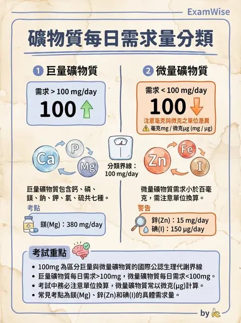 營養 - 巨量礦物質營養素 - AI 圖文解析預覽