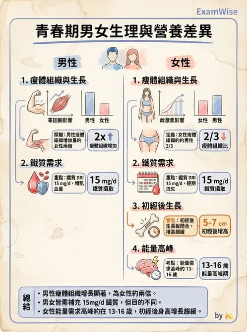 營養 - 兒童青少年與老年營養 - AI 圖文解析預覽