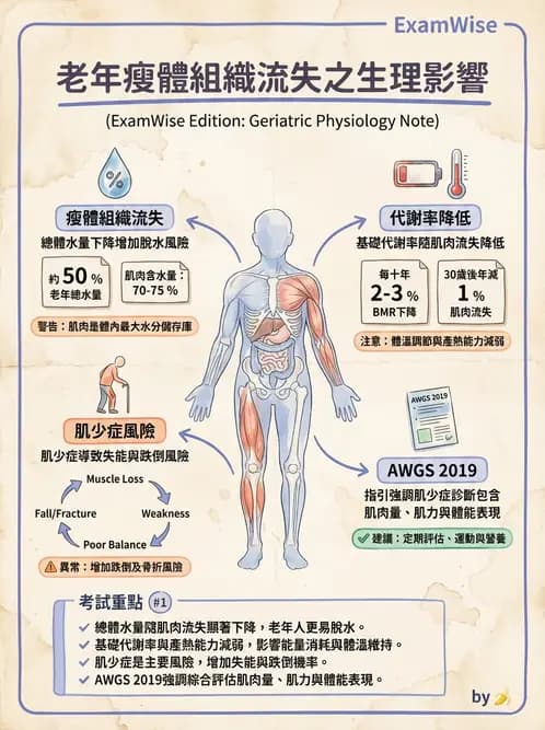 營養 - 兒童青少年與老年營養 - AI 圖文解析預覽