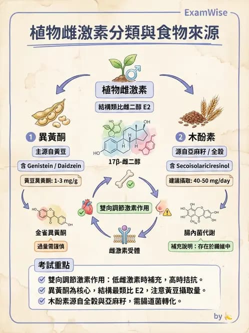 營養 - 當代營養學相關議題 - AI 圖文解析預覽