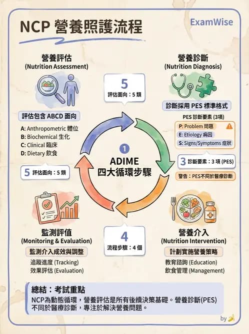 營養 - 營養評估與照護程序 - AI 圖文解析預覽