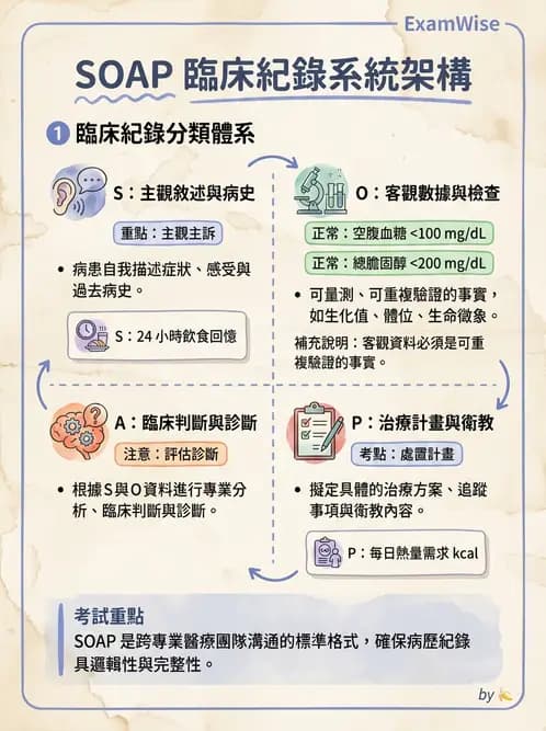 營養 - 營養評估與照護程序 - AI 圖文解析預覽