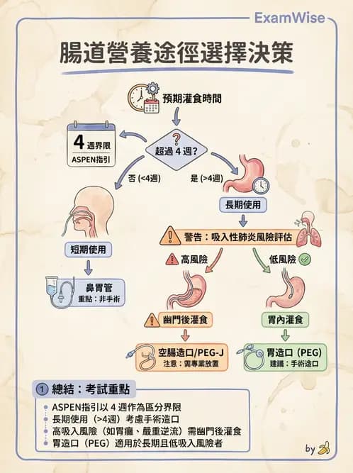 營養 - 營養支持 - AI 圖文解析預覽